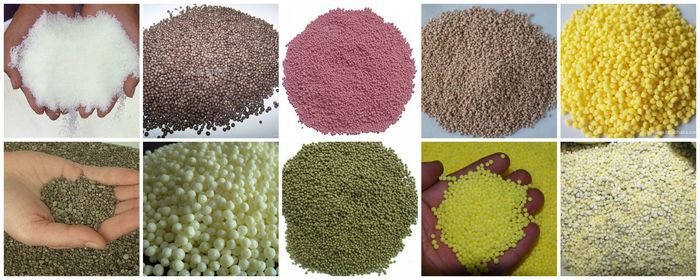 fertilizer granules