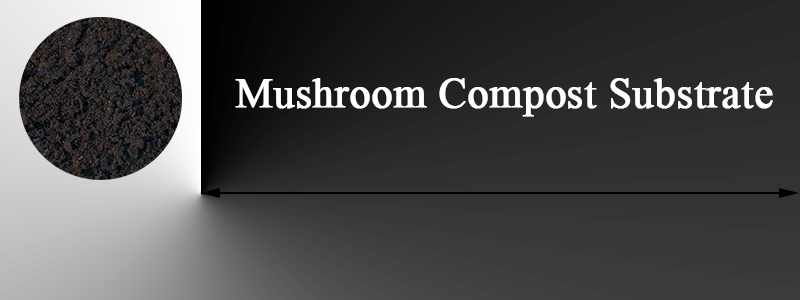 Spent Mushroom Compost Recycling for Organic Fertilizer Production